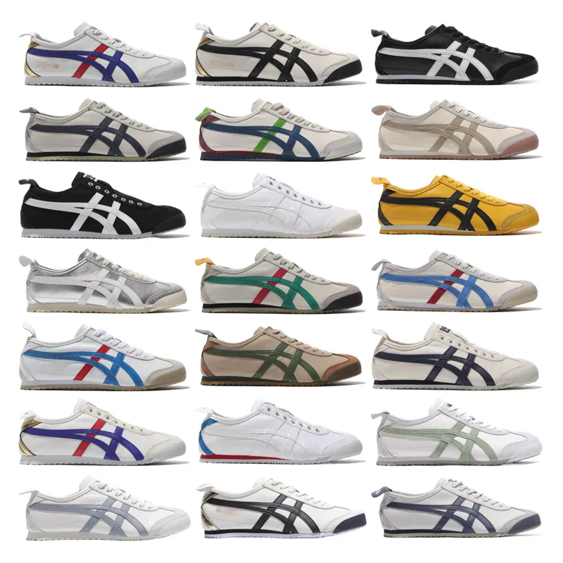 As1cs 66  collection